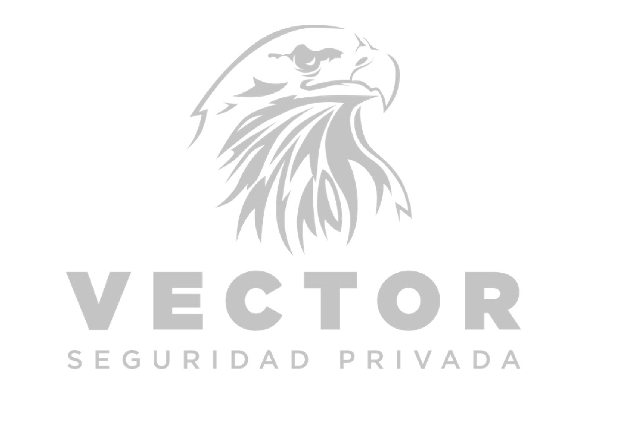 Vector