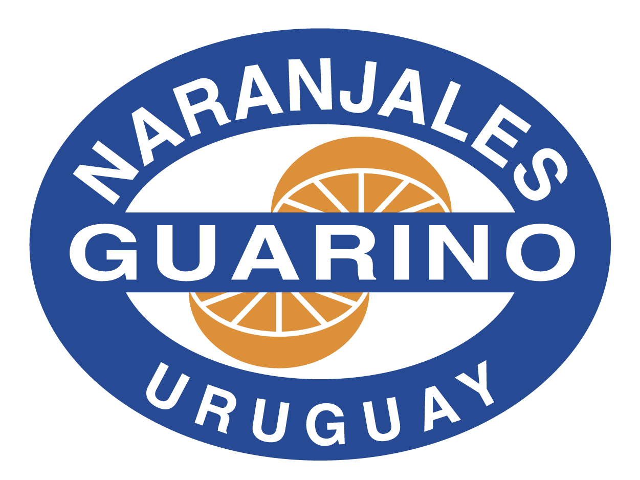 Guarino